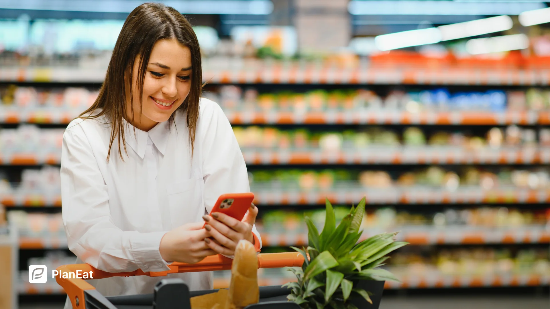 Weekly Grocery Routine (2026)